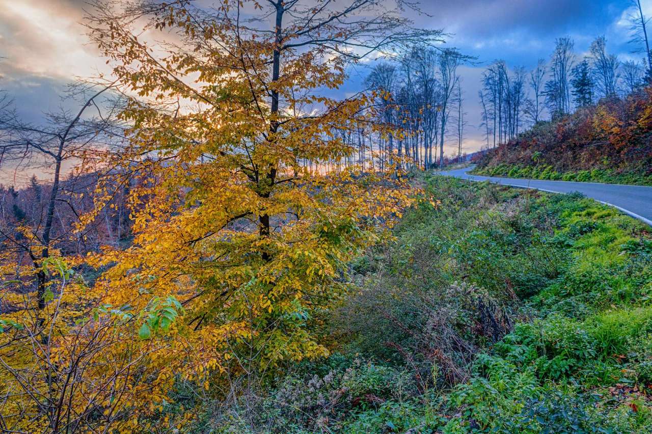 Medvednica during autumn 